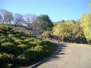 Camino Verde to Sousa via the Ridgetop Camino Verde to Sousa via the Ridgetop