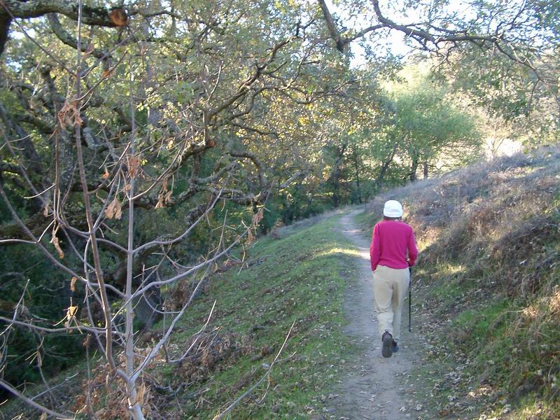 Recommended Walks in the Walnut Creek Open Space