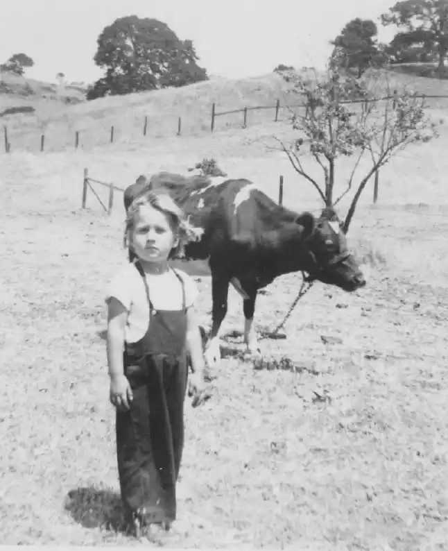 Marie Dougherty, around 6, with Maggie the cow and Shell Ridge in the background Fond Memories