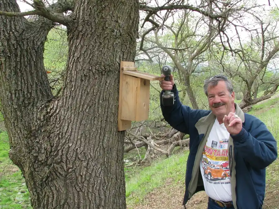 Bringing Bluebirds Back to our Open Space