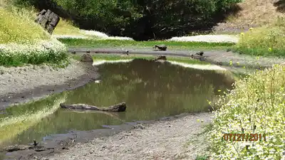 Indian Valley Pond Indian Valley Pond