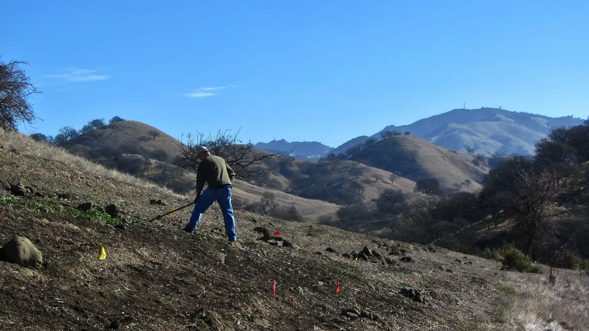 Fossil Hill Native Plant Restoration Site
