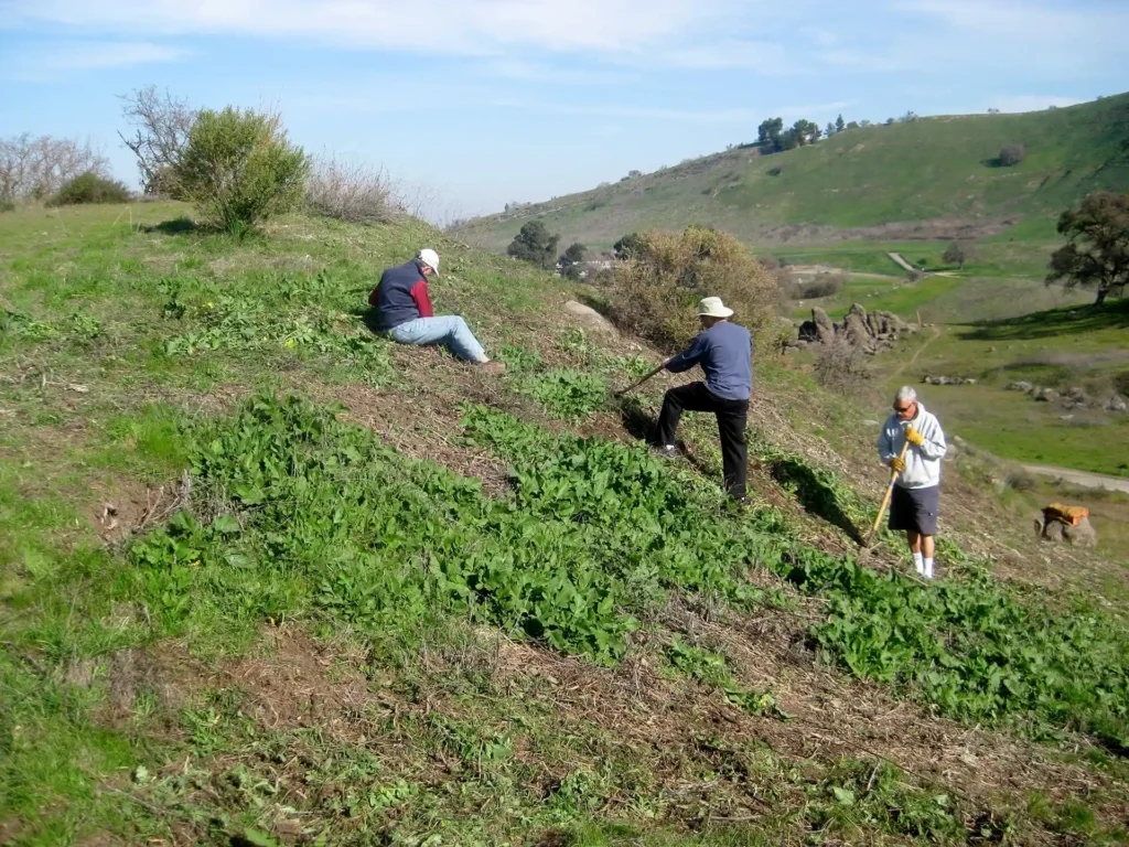 Fossil Hill Native Plant Restoration Site