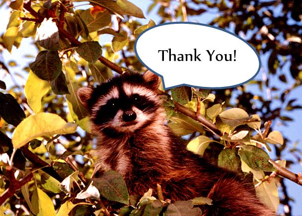 Acknowledgements Acknowledgements