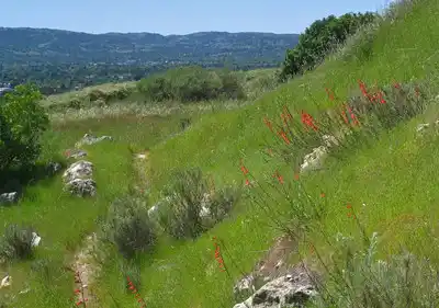 Trash in Our Open Spaces Trash in Our Open Spaces