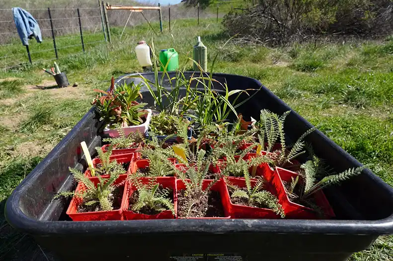 Tuesday Volunteering Group Photos